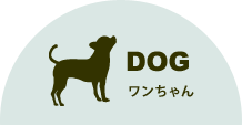 ワンちゃん