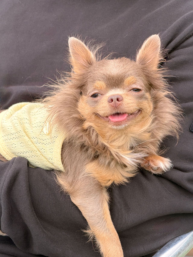 BiBiちゃん