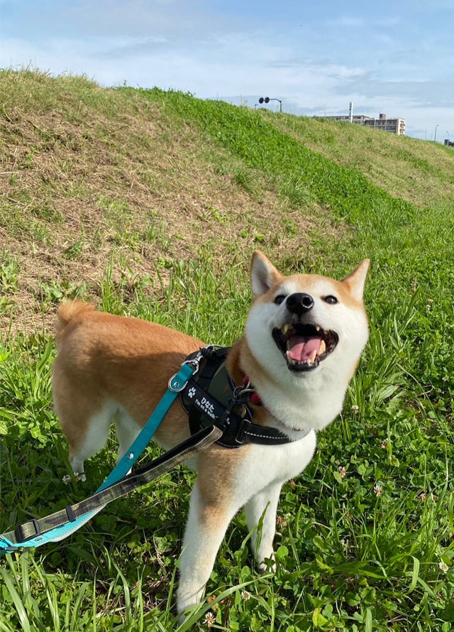 ひなたちゃん