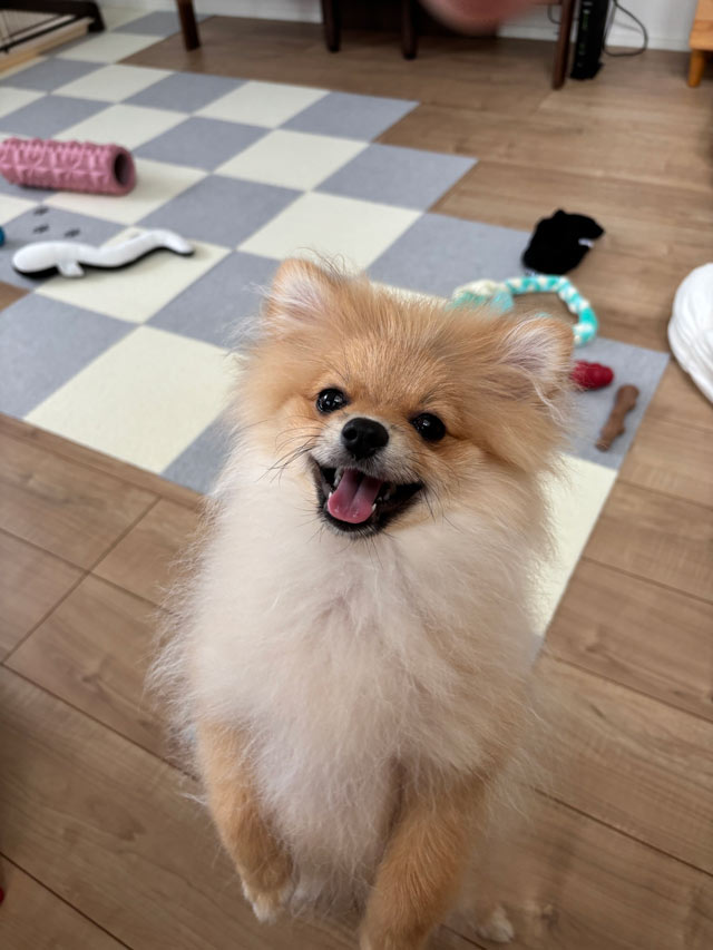 みろくん