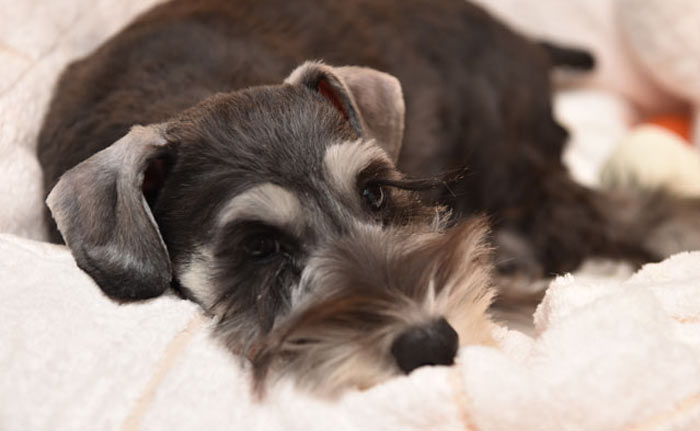 一時お預かりサービス