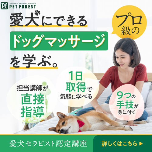 愛犬セラピスト