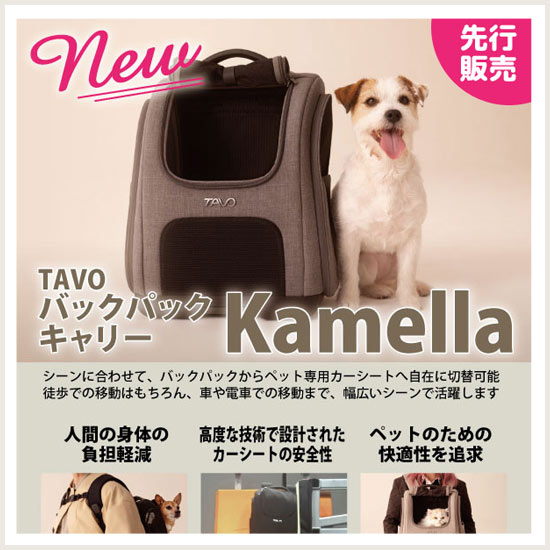 TAVO先行販売