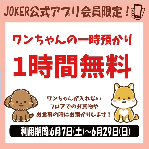 アプリキャンペーン
