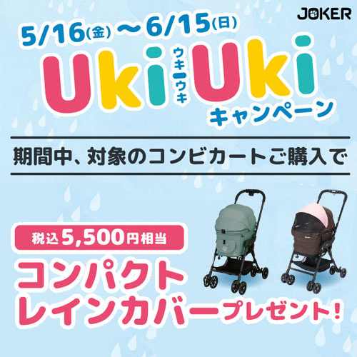 コンビキャンペーン