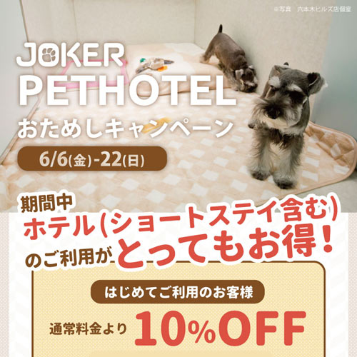 ホテルキャンペーン
