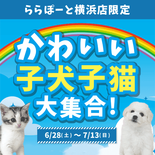 鴨居CA
