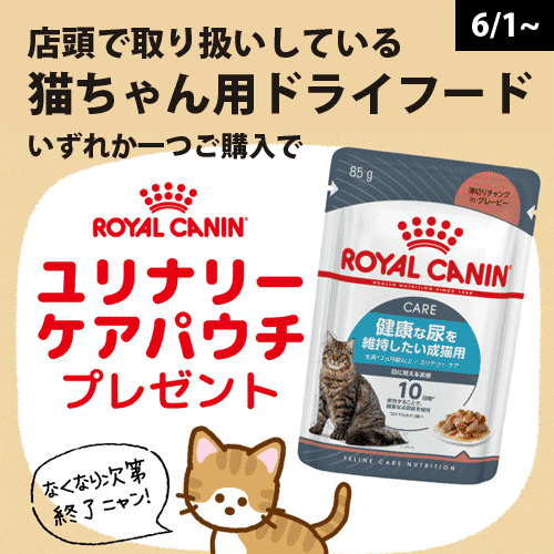 ロイヤルカナンパウチプレゼント