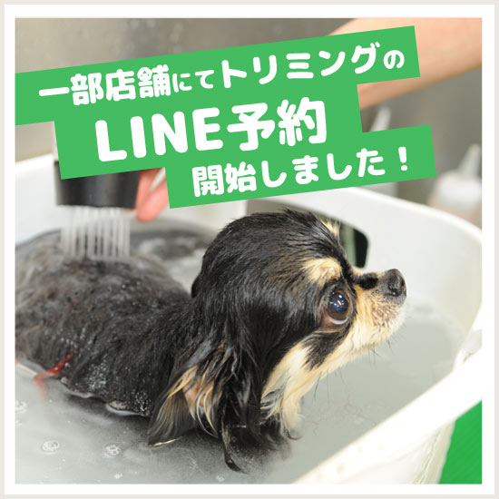 トリミングLINE予約