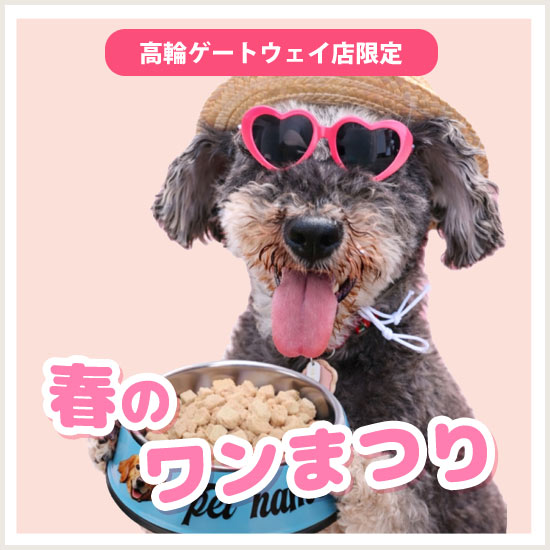 春のワンまつり