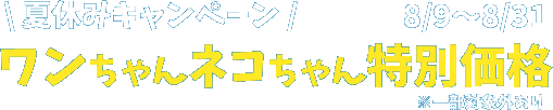 夏休みキャンペーン特別価格