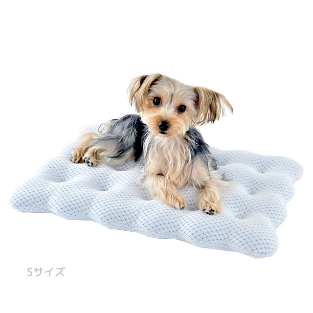 ウォッシャブルクッションビスキュイ