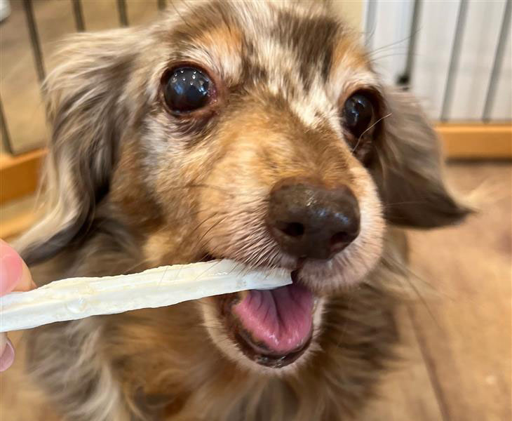 「召し上がれ♪」歯ブラシ嫌いな子もストレスなくケアできます