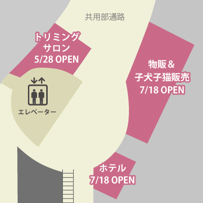 新区画