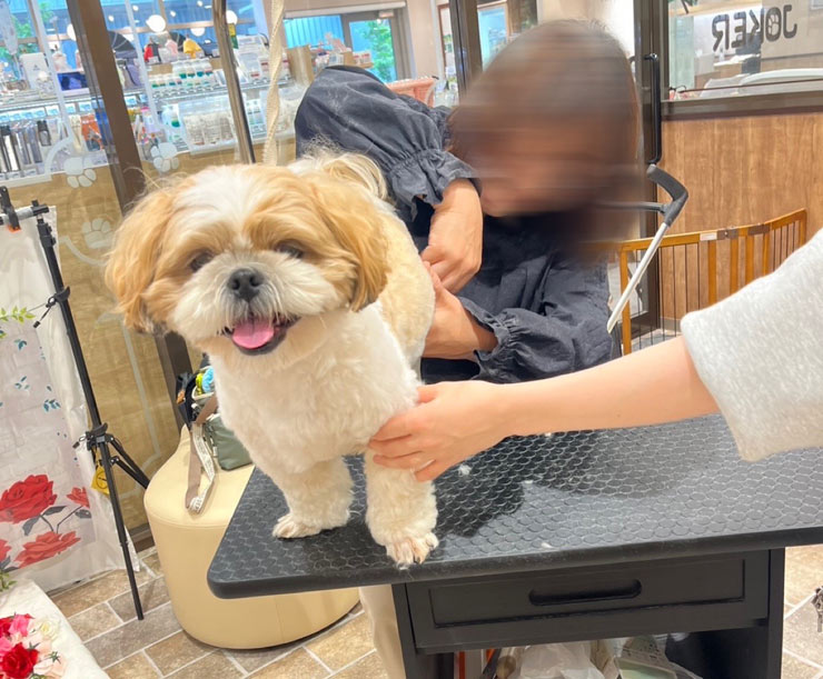 カット写真