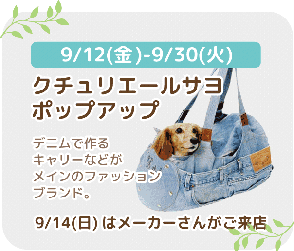 クチュリエールサヨポップアップ
