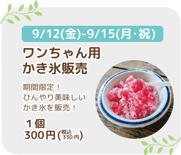 ワンちゃん用かき氷販売