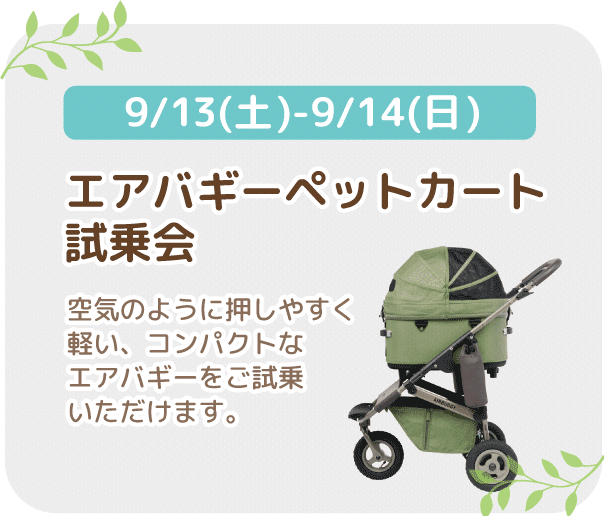 エアバギー試乗会