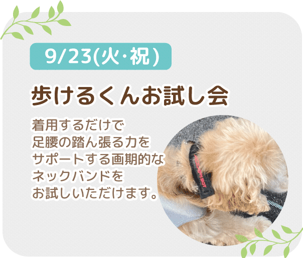 歩けるくんお試し会