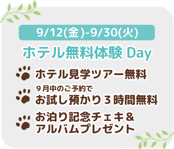ホテル無料体験
